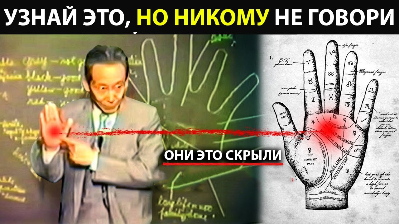 Этот учёный ТОЧНО объясняет, как человеческая рука управляет реальностью