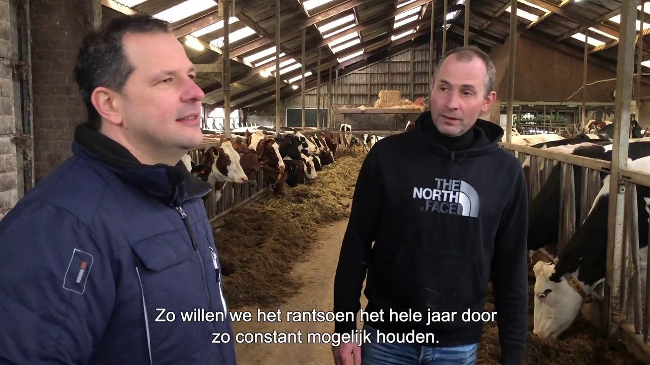Veehouders geven tips over vet & eiwit | Harold Gijmink, melkveehouder in Nieuwlande (DR)