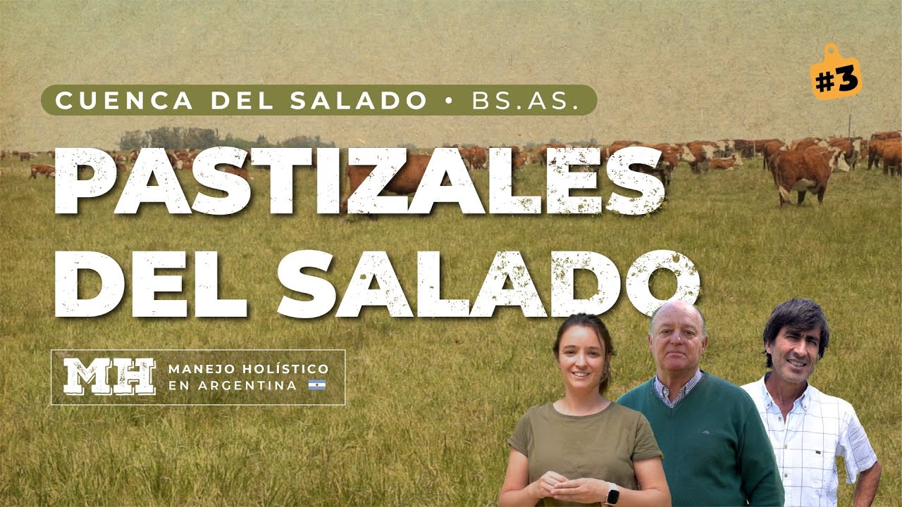 PASTIZALES del SALADO - Manejo HOLÍSTICO en argentina #3 Cuenca del salado, BsAs
