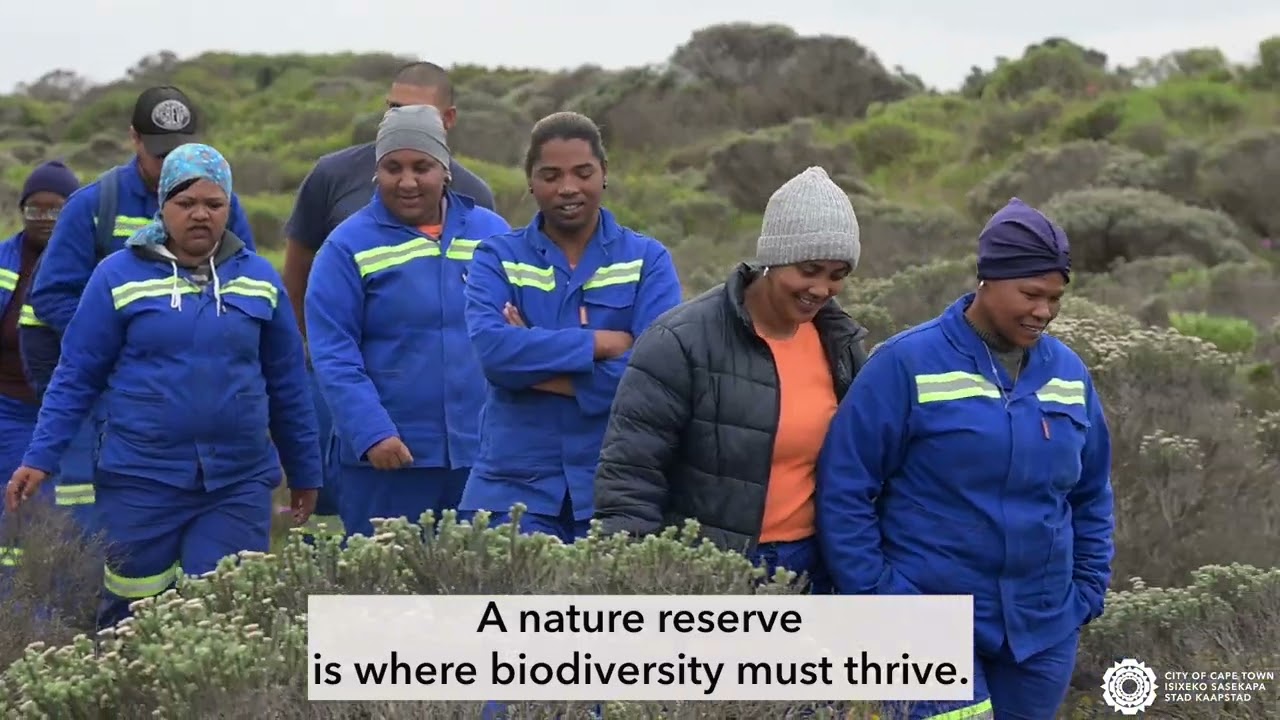 The City&rsquo;s Wolfgat Nature Reserve is truly one of Cape Town&rsquo;s natural heritage gems!