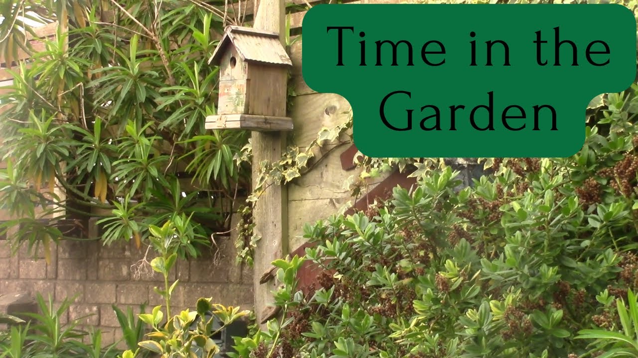 Time in the Garden| Frugal living