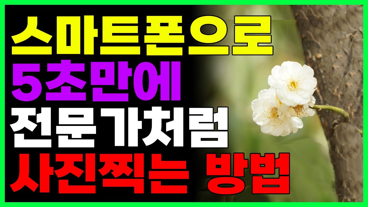 스마트폰으로 5초만에 전문가처럼 사진찍기 (쉽게 아웃포커싱 하는 방법)