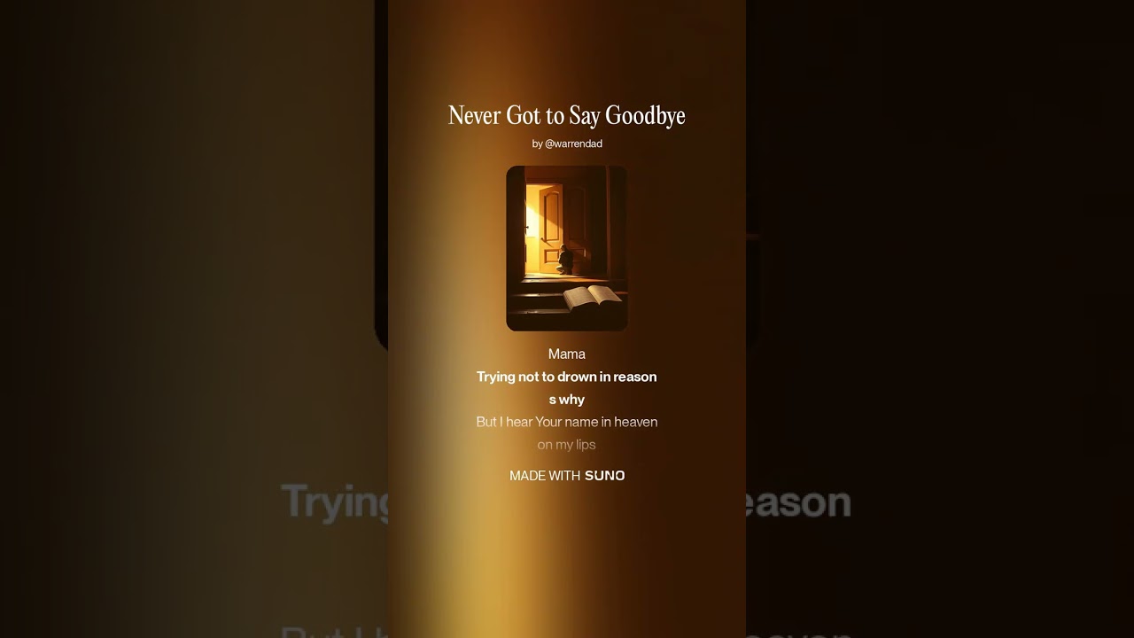 Never Got to Say Goodbye 1