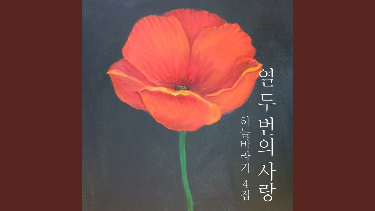 오르시도다