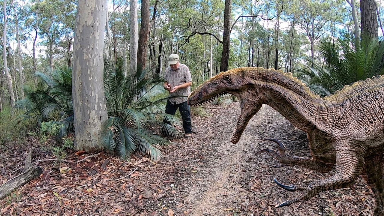 The Amazing Burrawang – A Plant From Before the Dinosaurs