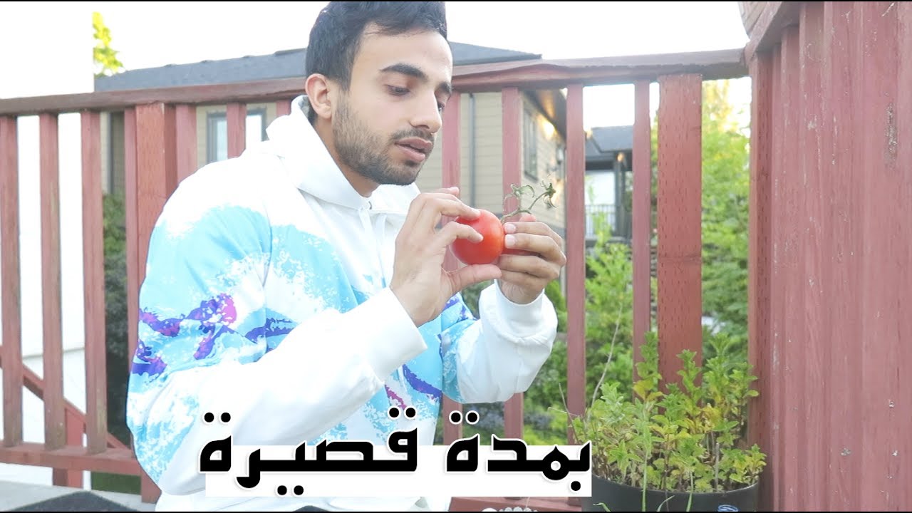 نتيجة مزرعة الأمل بعد أسابيع || In Short Time