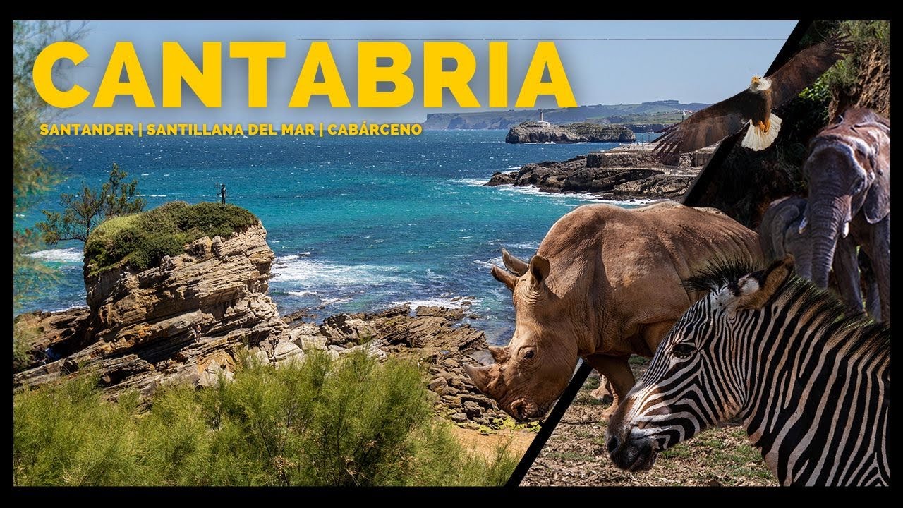 Qué ver en Santander y alrededores en 3 días (Cantabria) ✅ Cabarceno, Altamira y Santillana del Mar