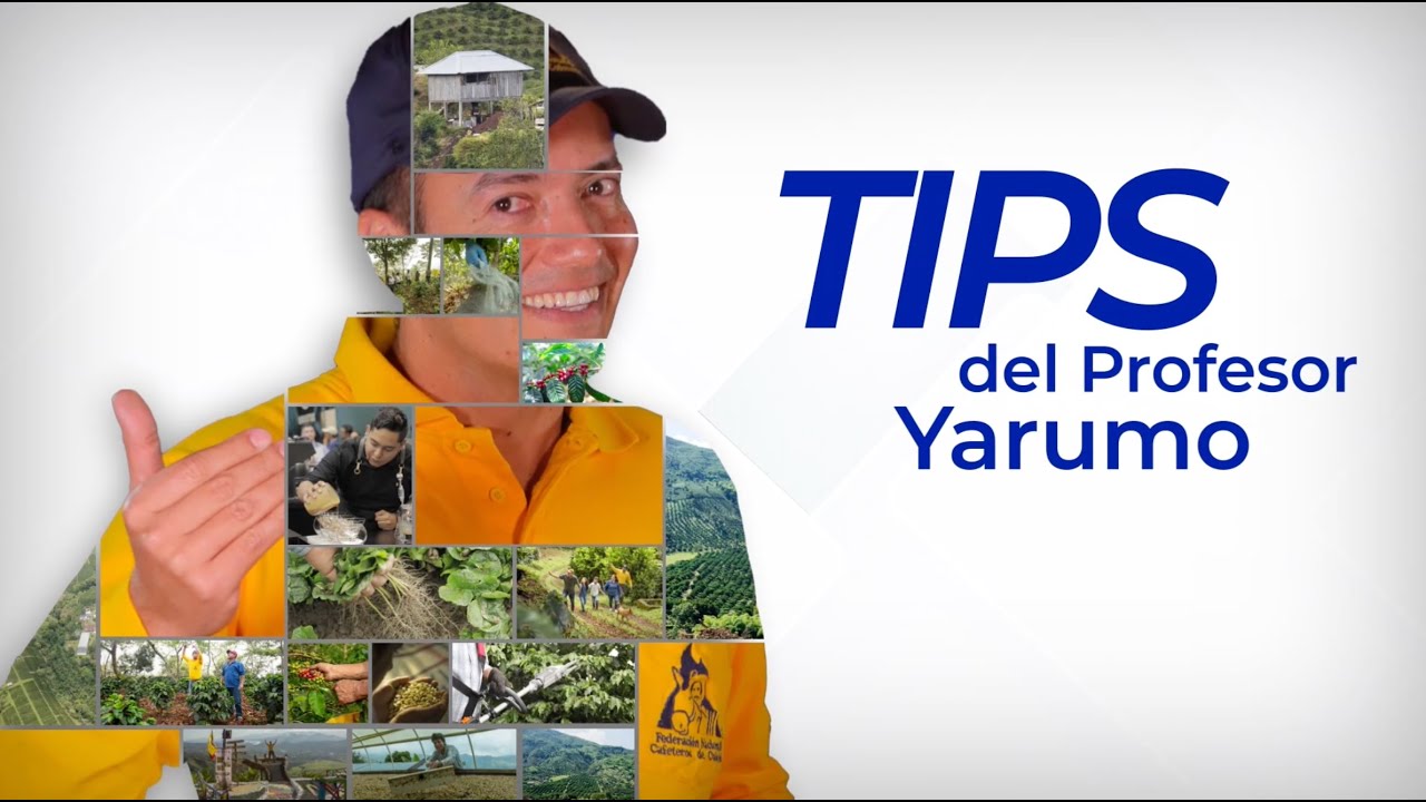 Estación experimental El Rosario - Tips del Profesor Yarumo