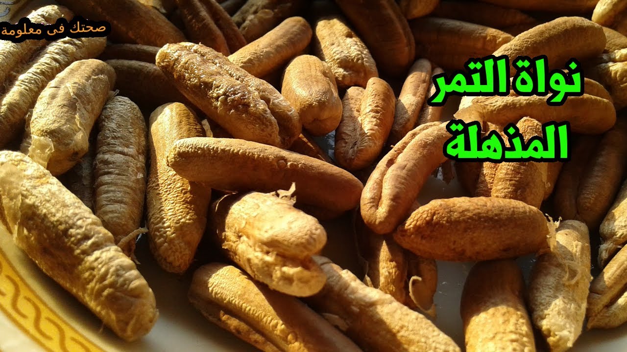 نواة التمر اكثر من 10 فوائد فى بذرة البلح المعجزة للصداع ومقاومة الفيروسات والكثير ؟؟