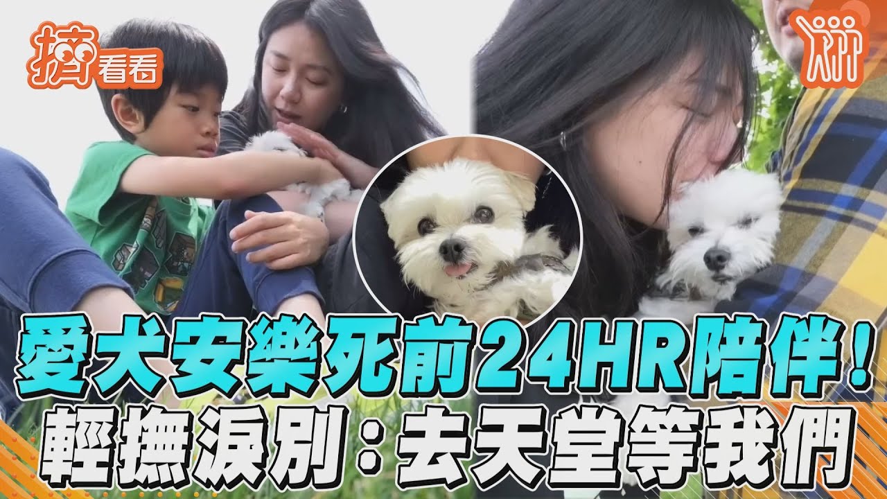 愛犬安樂死前24HR陪伴! 輕撫淚別: 去天堂等我們｜TVBS新聞｜擠看看@TVBSNEWS01