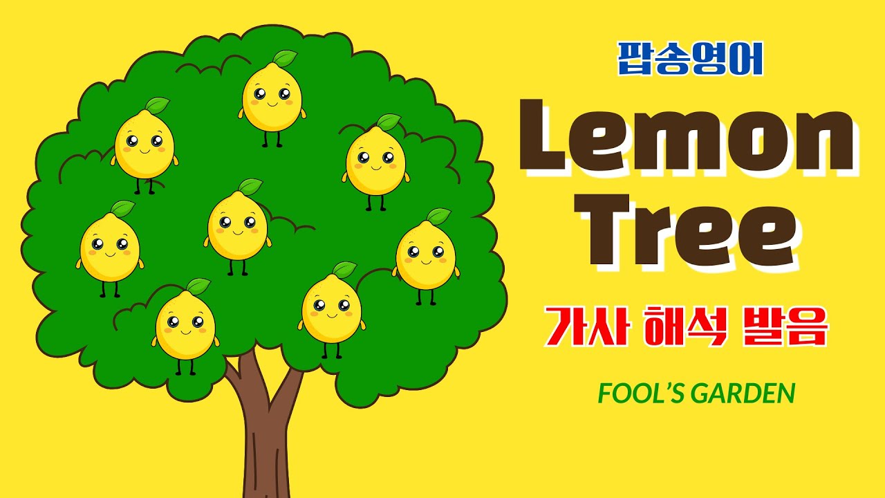 Lemon Tree 팝송 영어 with 가사 해석 발음 원리 총정리