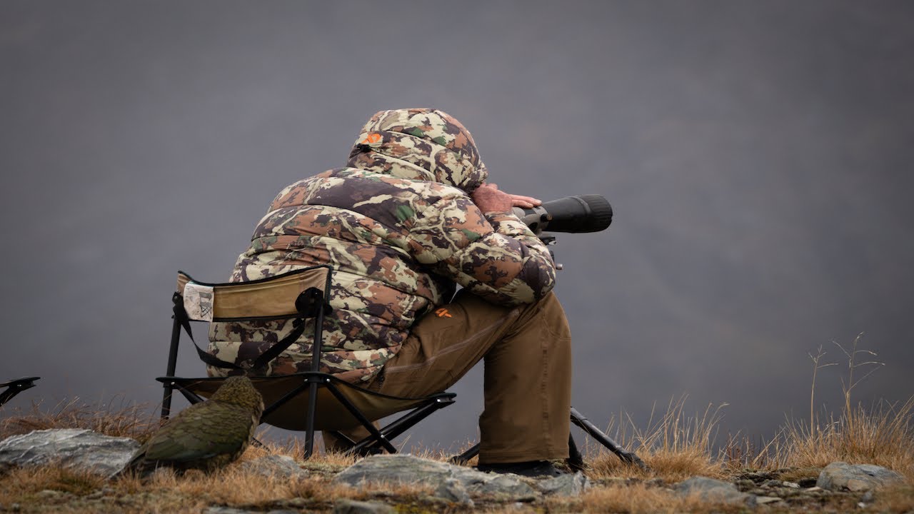 ATTACKED BY NATIVE PARROTS!! (Back injury and A Three legged bull) Tahr ballot 2023..