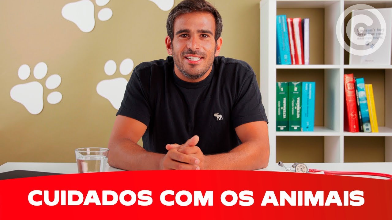 Cuidados com os animais | Continente
