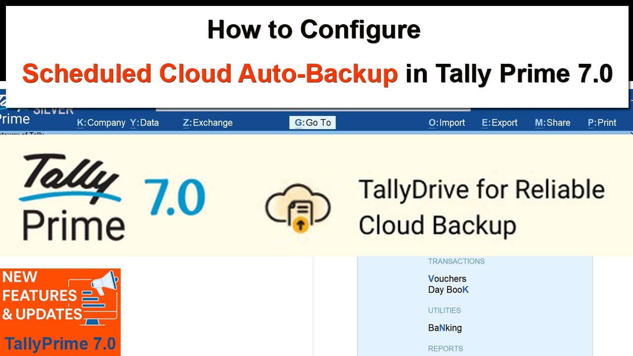 Автоматическое резервное копирование по расписанию в Tally Prime 7.0 | Обновления TallyPrime 7.0