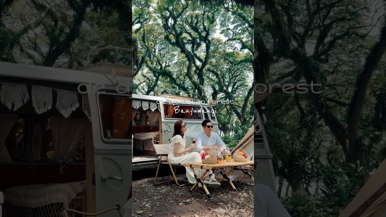 Piknik aesthetic De Djawatan Banyuwangi 