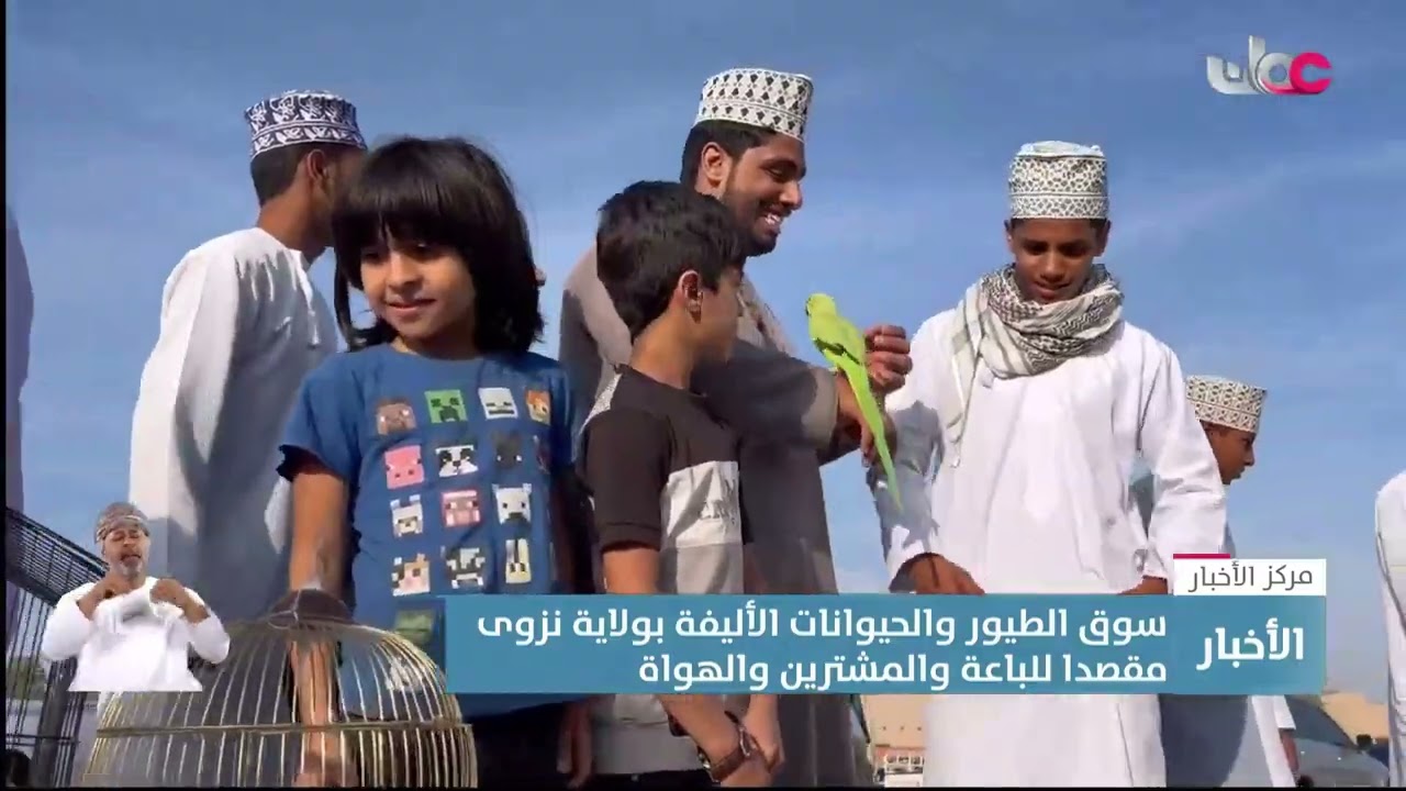 تقرير | سوق الطيور والحيوانات الأليفة بولاية نزوى مقصدا للباعة والمشترين والهواة كل جمعة.