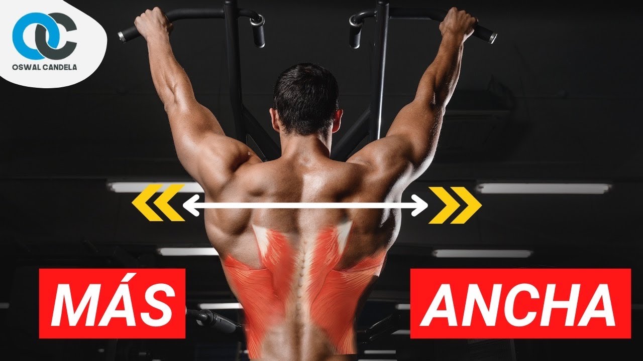 C&oacute;mo tener una ESPALDA M&Aacute;S ANCHA R&Aacute;PIDAMENTE