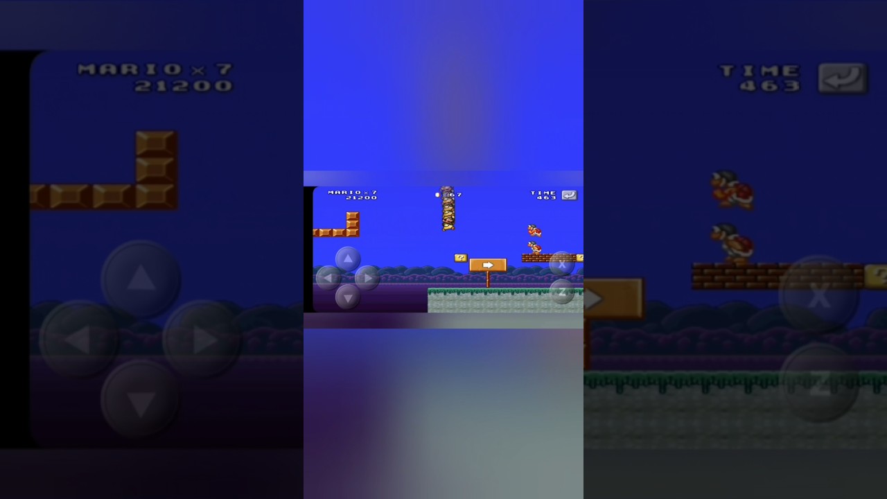MWA:Mario kills 2 Fire Broses & he collect items vid 4. 