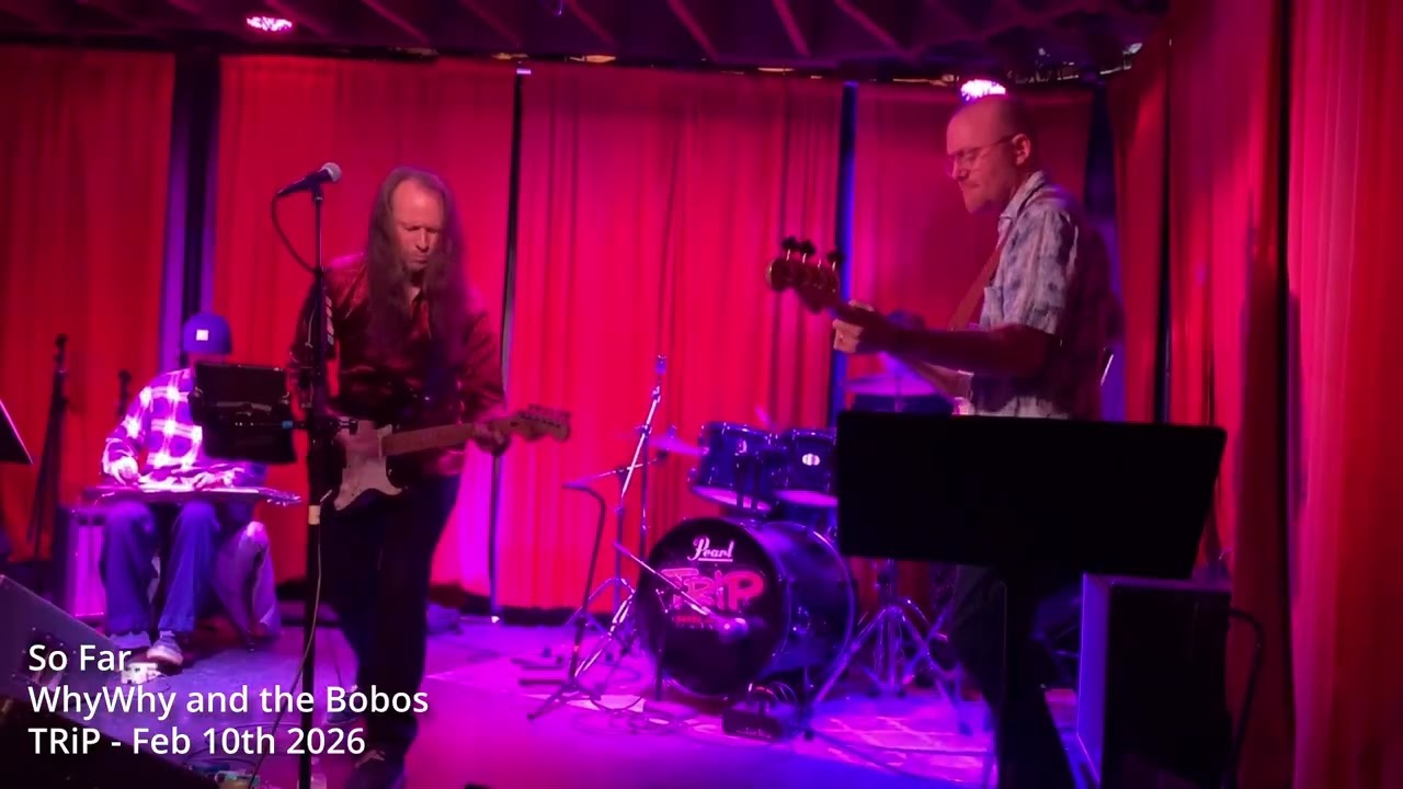 WhyWhy and The Bobos - So Far