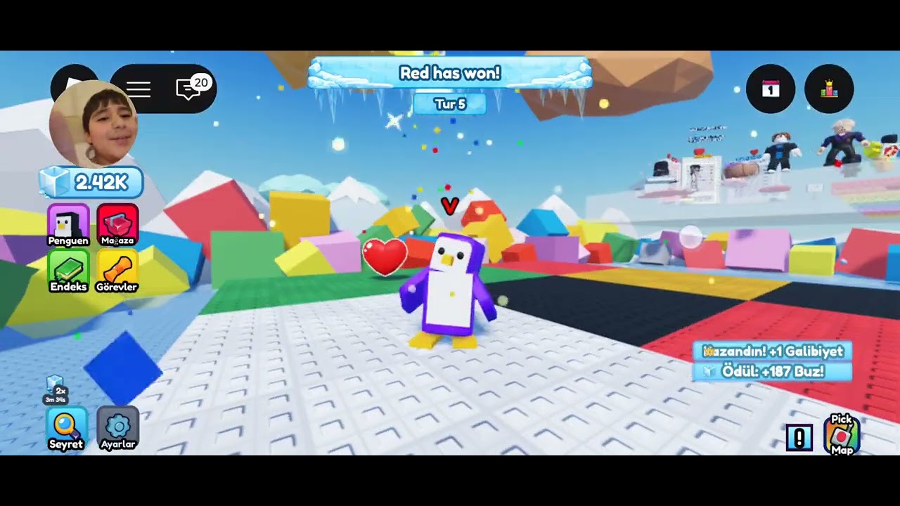 Kardeşimle pinguin savaşı