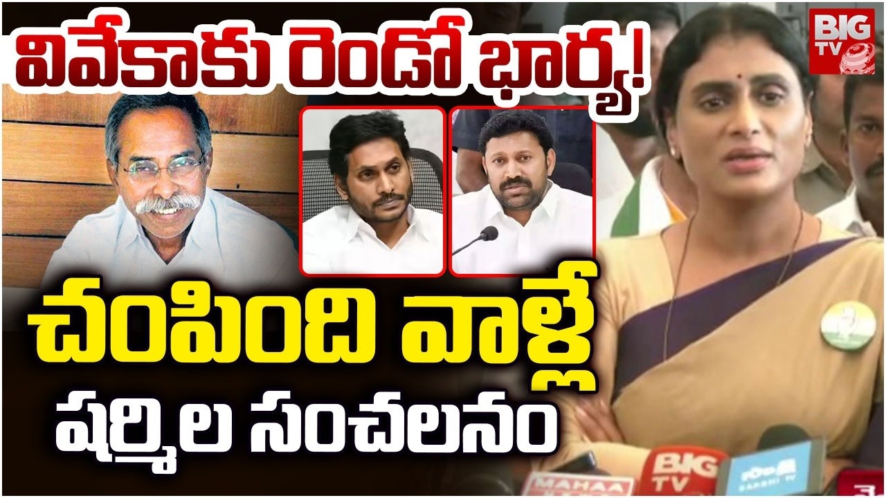 YS Sharmila Shocking Comments On YS Viveka Case | వివేకాకు రెండో భార్య! YS Jagan | YS Avinash Reddy