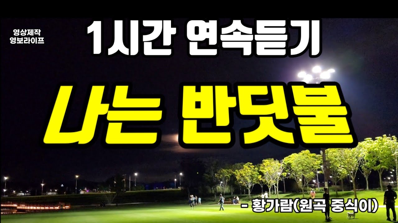 315만뷰🎉 