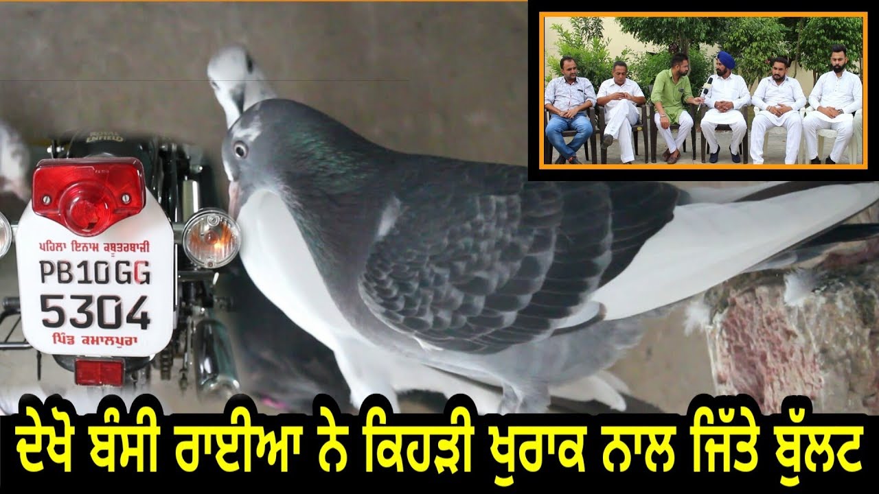 Ik Saunk Kabooter Bazi Da || Episode 19 || ਦੇਖੋ ਬੰਸੀ ਰਾਈਆ ਨੇ ਕਿਹੜੀ ਖੁਰਾਕ ਨਾਲ ਜਿੱਤੇ ਬੁੱਲੇਟ