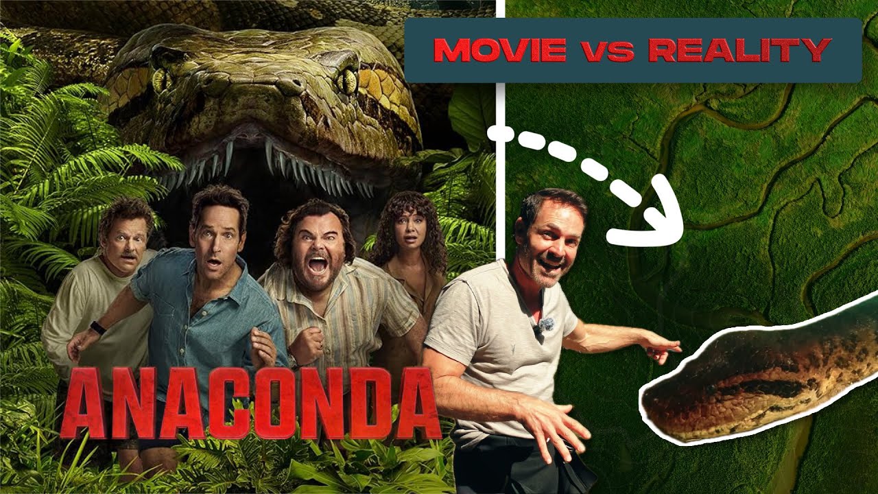 Is the New Anaconda Movie Accurate Swimming With One in the Wild YT Export