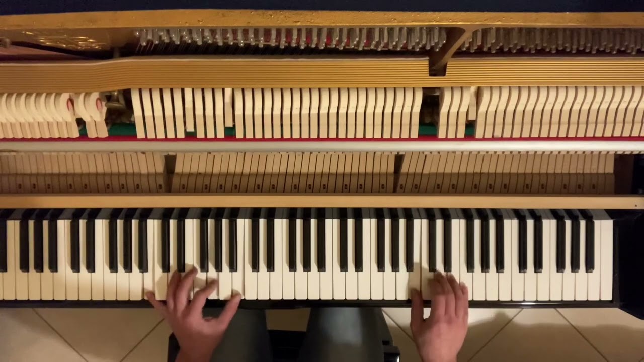 Adrian Berenguer - Little Things (top view cover) - performed by Lorenzo Bartolini