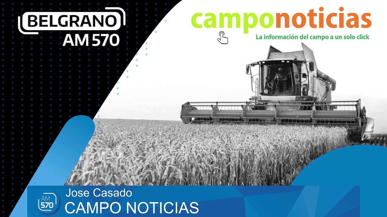 CAMPO NOTICIAS