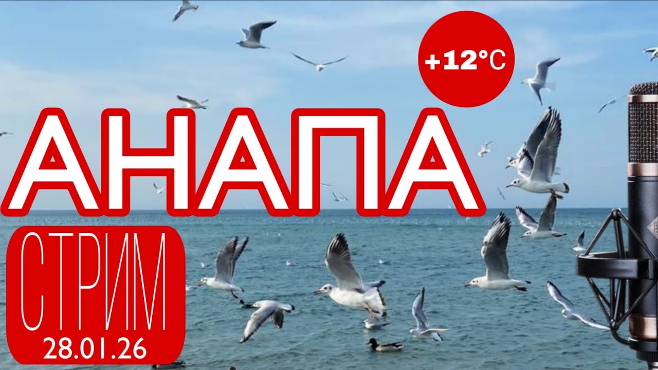 🔴 +12°С 😎ЧАЙКИ МОРЕ 🌊 СОЛНЦЕ☀️ #shorts #stream #sea #анапа #blacksea