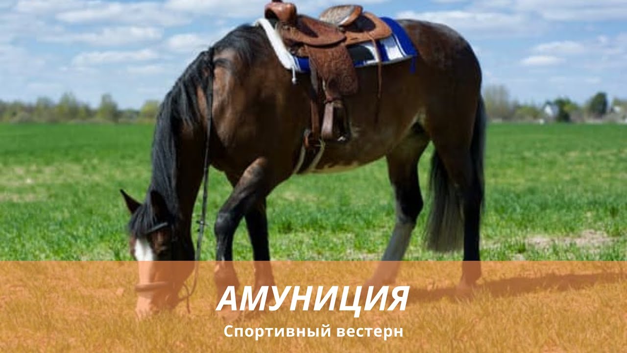 Спортивный вестерн. Амуниция. Седло вестерн.
