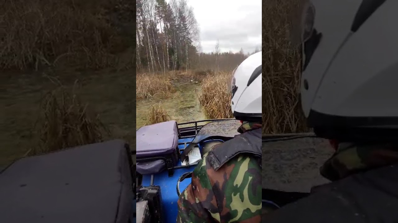 Квадроцикл Сокол Про в болоте 