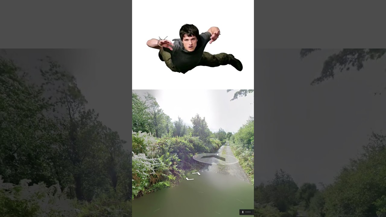 GUESSING ireland from a GATE on GEOGUESSR lowk saved me