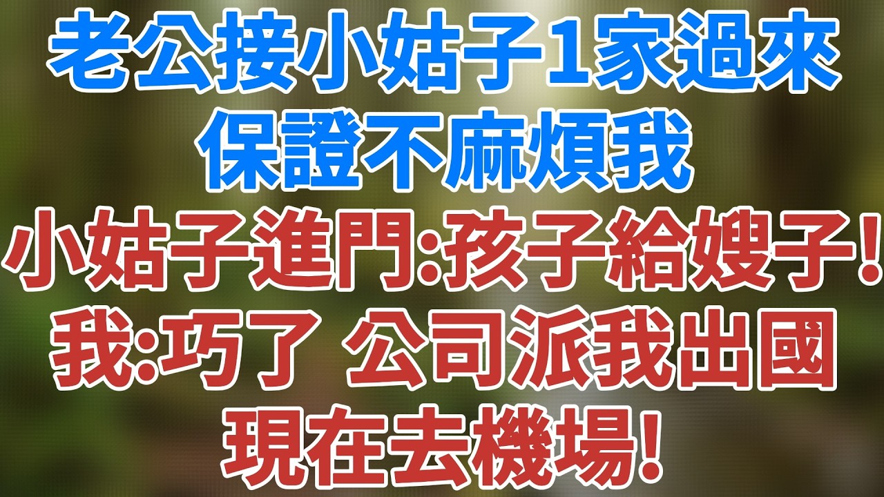 老公執意接小姑一家過來，保證不麻煩我。小姑進門：「嫂子，孩子就交給你啦！」我：巧了，公司派我出國研學半年，現在去機場！#生活經驗 #講故事  #婚姻 #深夜淺讀 #家庭倫理 #健康有方 #情感故事