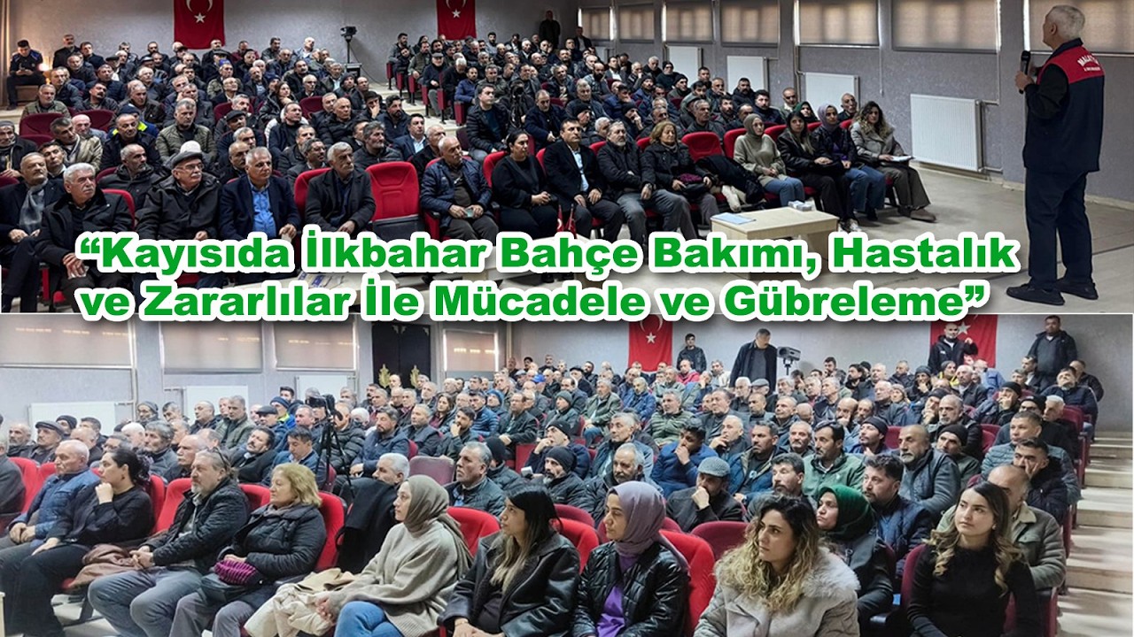 İlkbaharda “Kayısıda Bahçe Bakımı, Hastalık ve Zararlılar İle Mücadele ve Gübreleme'' Nasıl Yapılır.