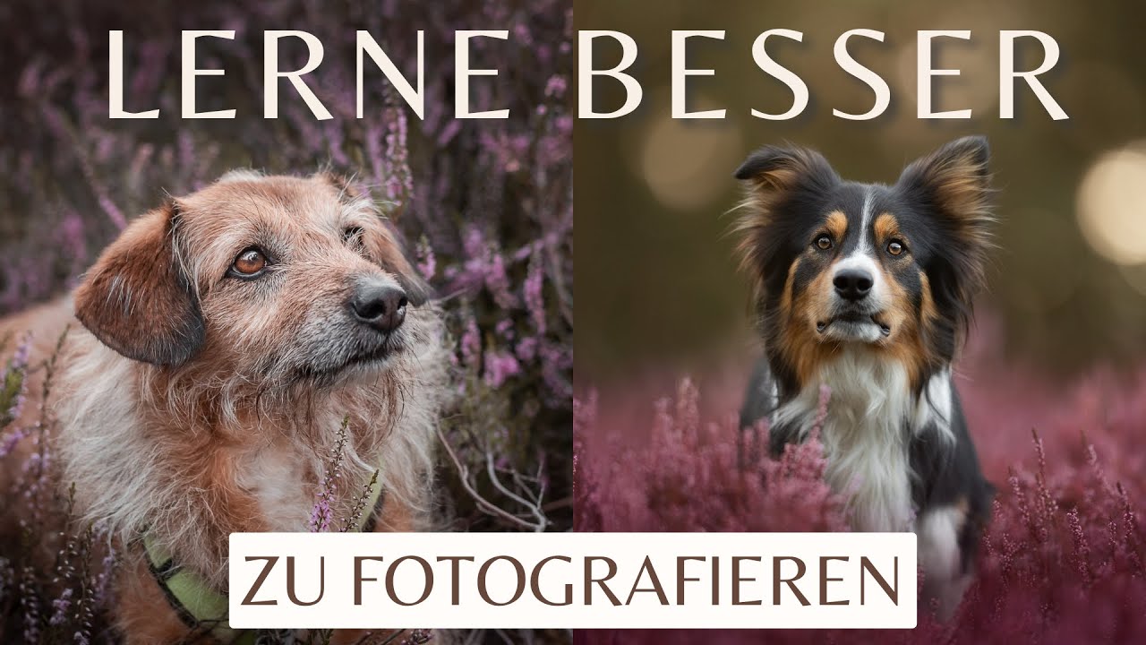 Mit diesen Übungen verbesserst du deine Fotografie sofort und ohne Geld auszugeben!