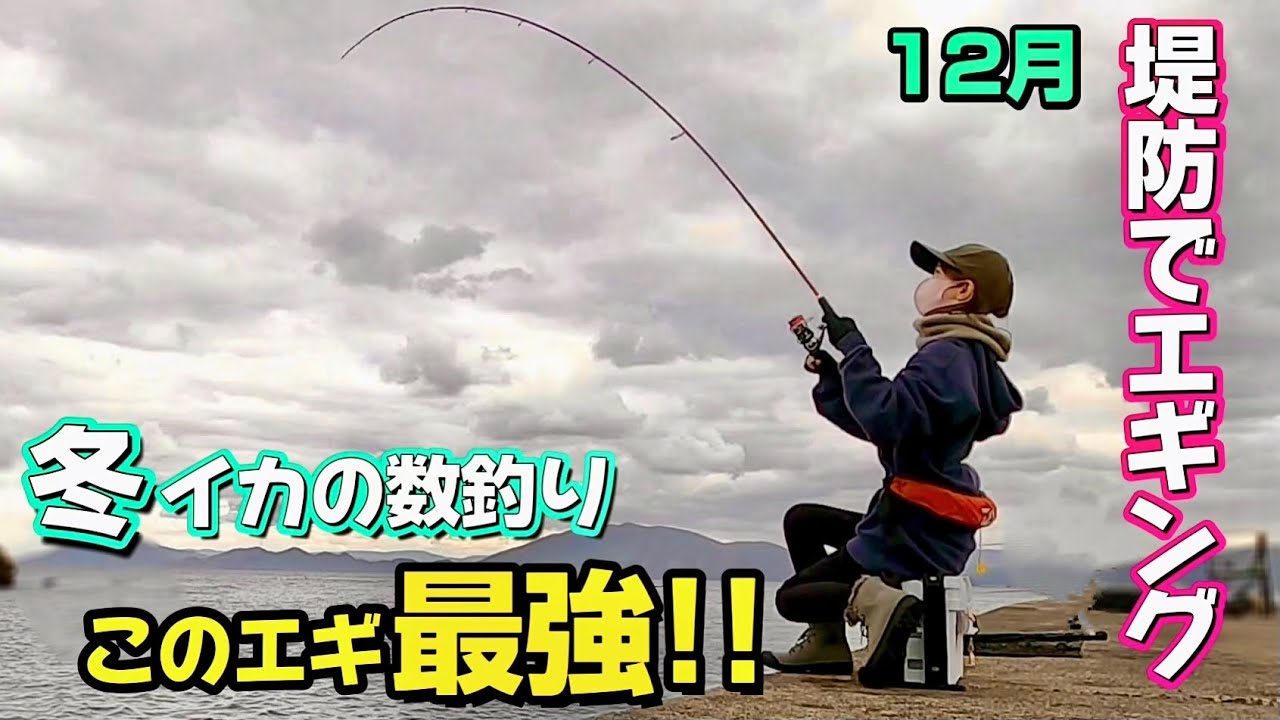 【エギング】冬!! アオリイカの数釣り♪ このエギを投げたら釣れました!!