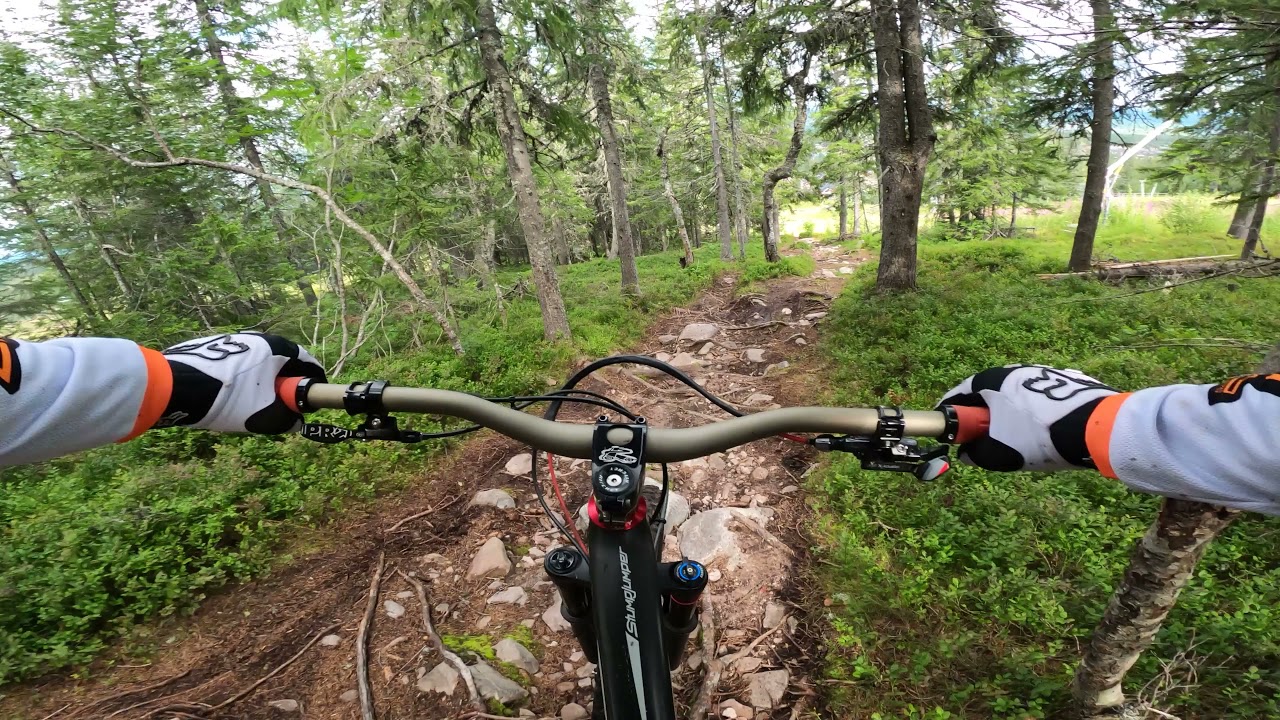 Lindvallen mtb, Sherpa