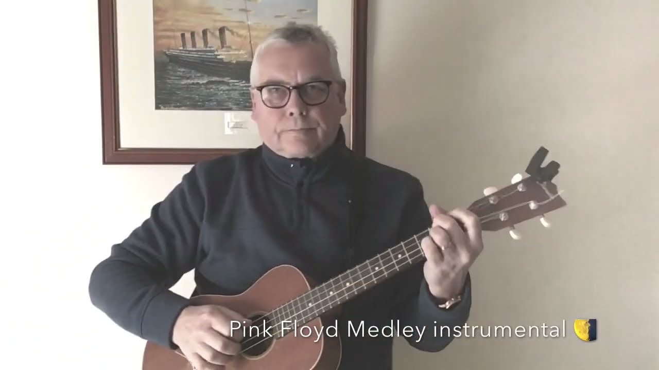 ZigUke | Instrumental Extracts of 3 Pink Floyd songs | baritone ukulele