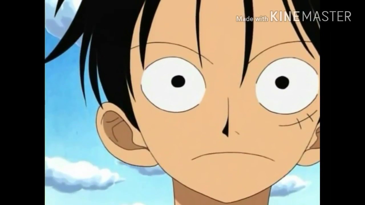 One piece AMV Seal kiss from a rose