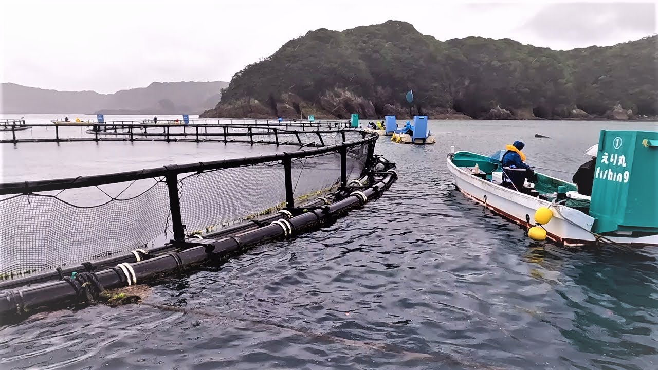 そこは釣り人が憧れる海、串本！串本カセ釣りで大物を狙う！