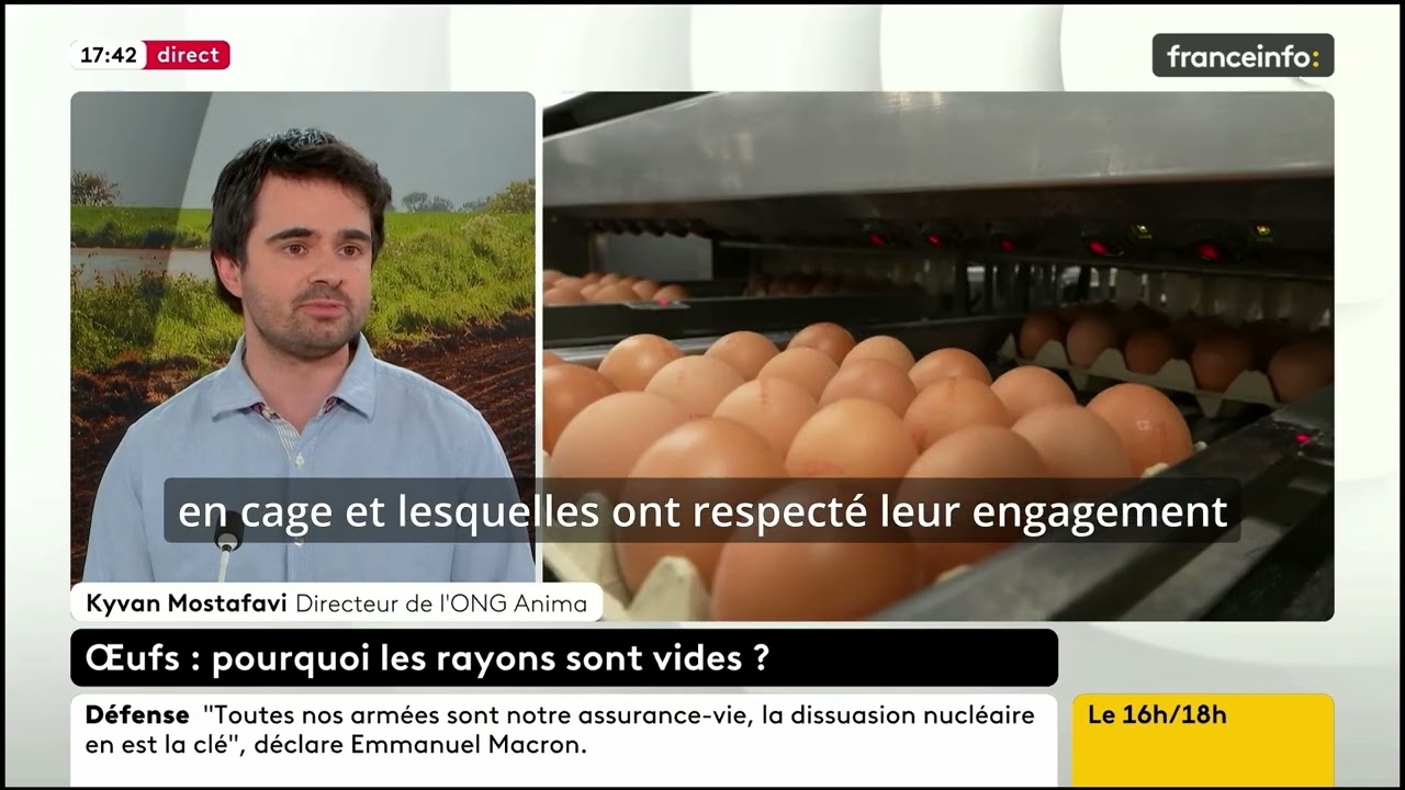 Fin des œufs cage dans les supermarchés ?