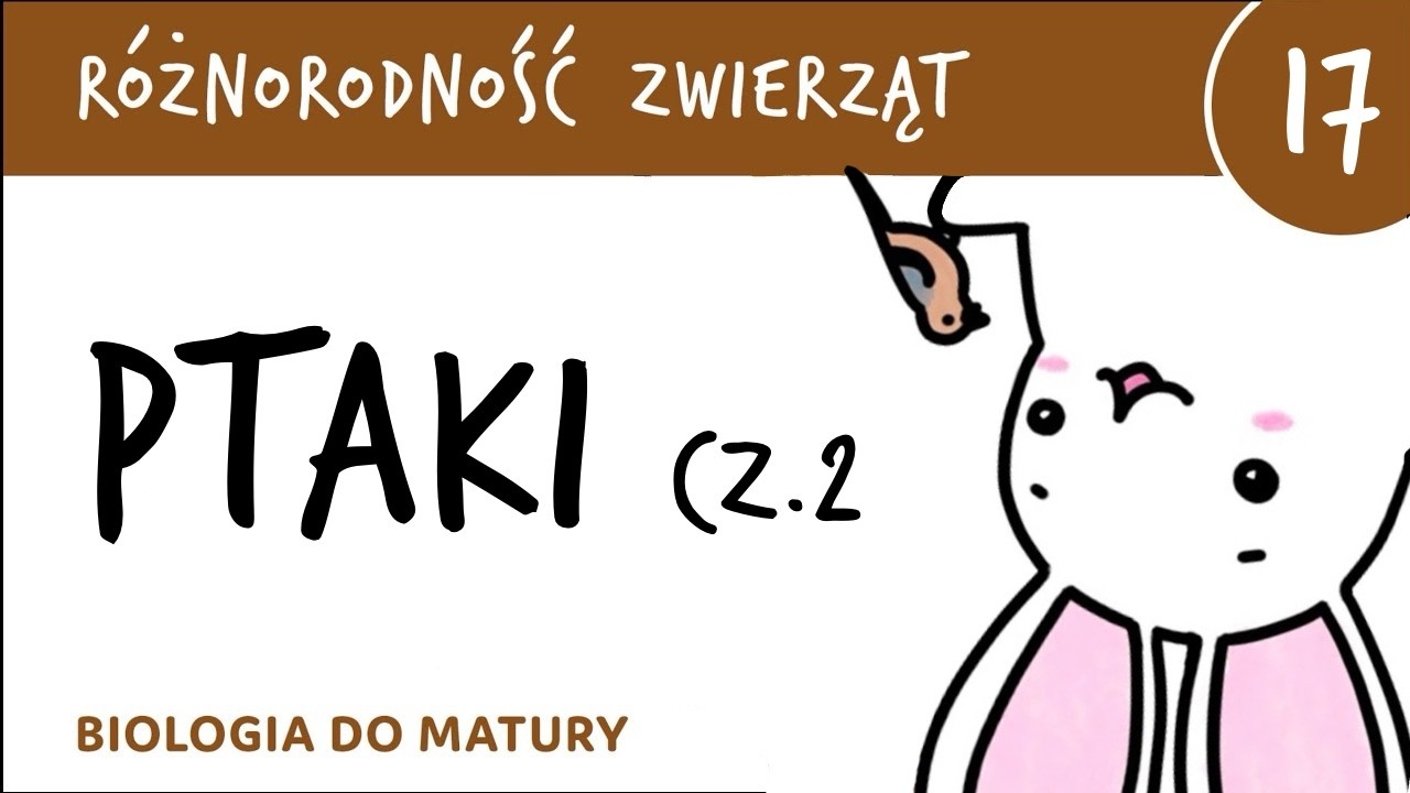 Różnorodność zwierząt 17 🐸 Ptaki cz.2 - biologia do matury, zoologia