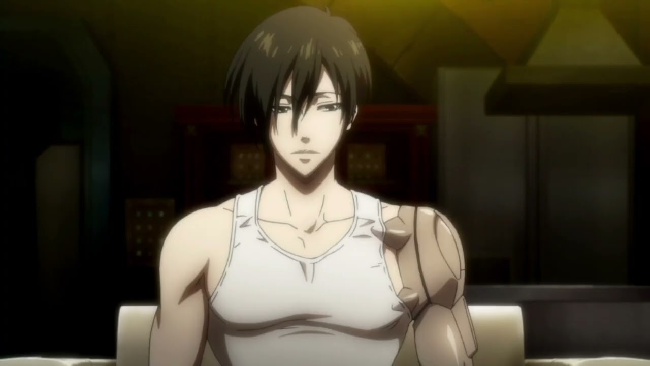 Psycho-Pass AMV - Promiseland