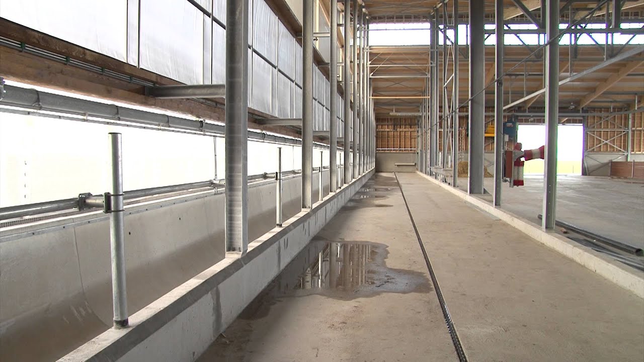 Nieuwe innovatieve weidestal Groenhorst Dronten - Melkvee.nl
