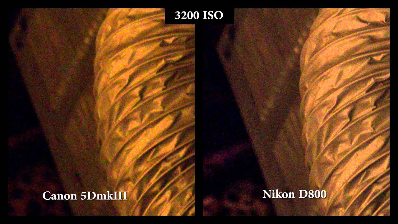 The F%^&ing Nikon D800 vs. Canon 5D mkIII Shootout PART 2