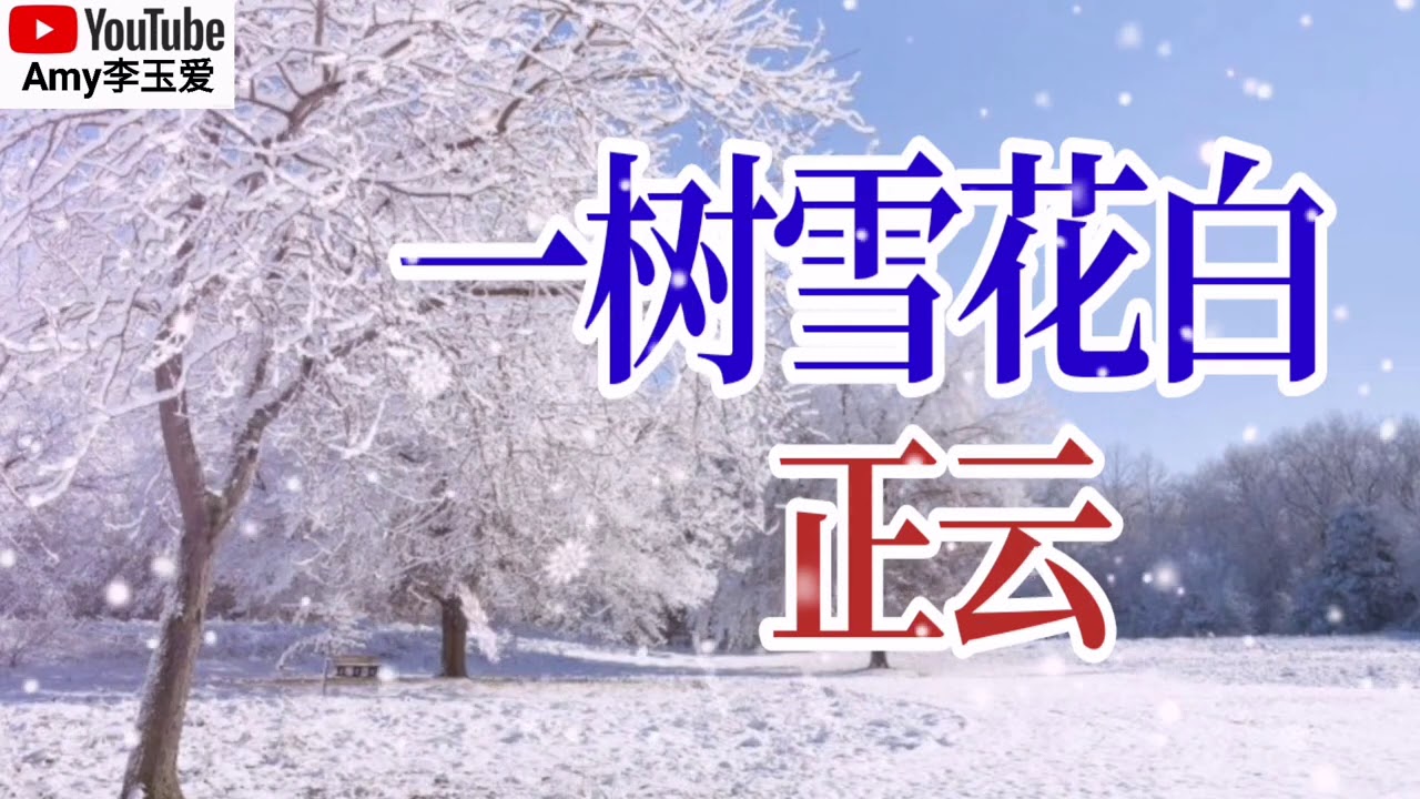❤️正云一首【一树雪花白】悠扬动听，好听醉了听一遍就喜欢上了❤️