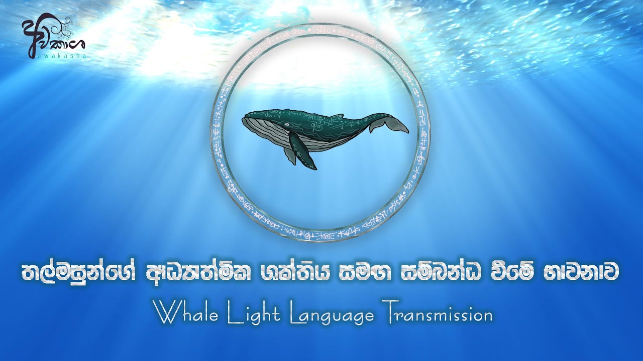 Whale Light Language Transmission