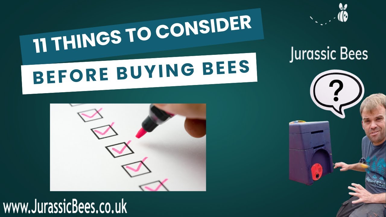 Episode 1: 11 Things to Consider Before You Start Beekeeping | Beekeeping From Day 1